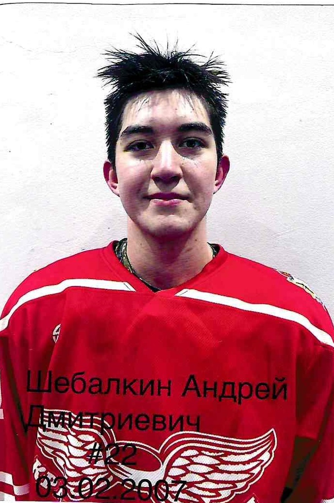 Шебалкин Андрей Дмитриевич