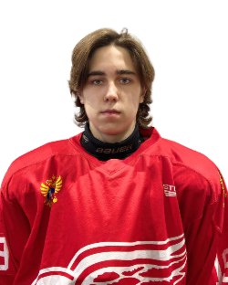 Баукин Михаил Евгеньевич