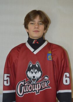 Княжев Михаил Владиславович