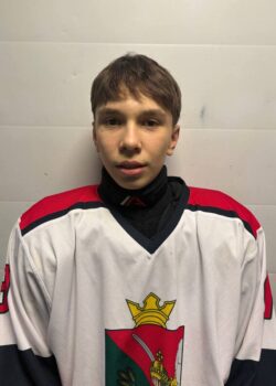 Логинов Артём Сергеевич