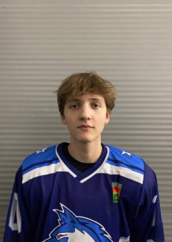 Мельников Арсений Алексеевич