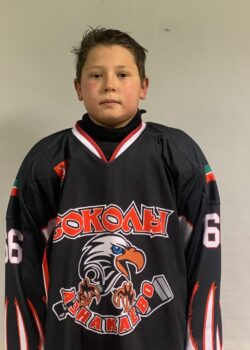 Минигареев Раян Булатович