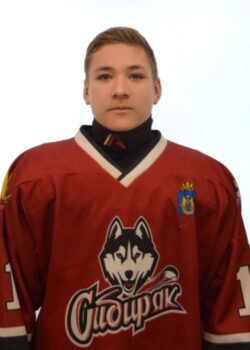 Мишкин Виталий Денисович