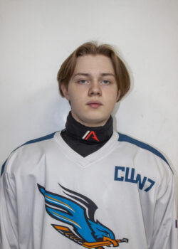 Нестеренков Егор Андреевич