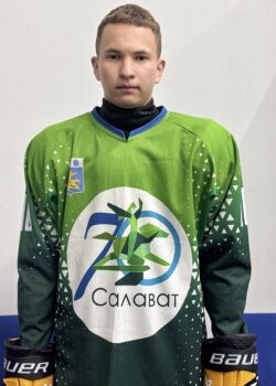 Магадиев Руслан Ильдарович