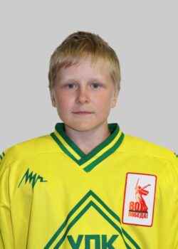 Вершинин Михаил Игоревич