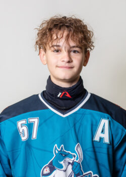 Ситников Ярослав Анатольевич