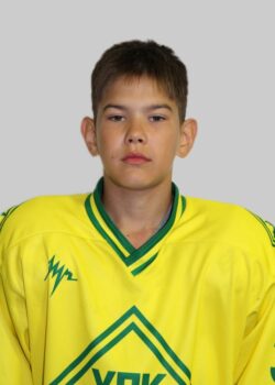 Плесовский Вячеслав Александрович