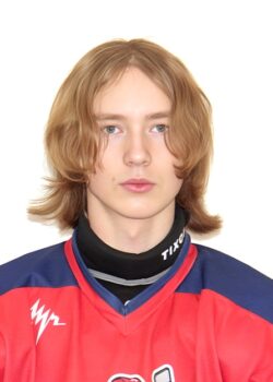 Шелевой Артём Сергеевич