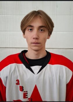 Демидов Владимир Романович