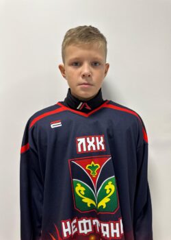 Вильданов Радмир Ренатович