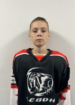 Давлиев Айнур Робертович