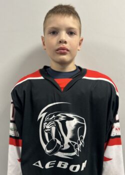 Гильмутдинов Ансель Винерович