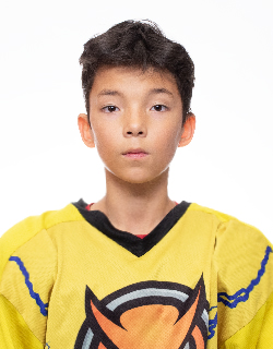 Софинский Григорий Алексеевич