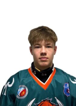 Киркоров Матвей Максимович