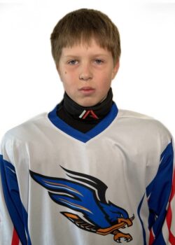 Голиков Александр Никитич