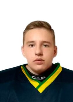 Губкин Артем Владимирович