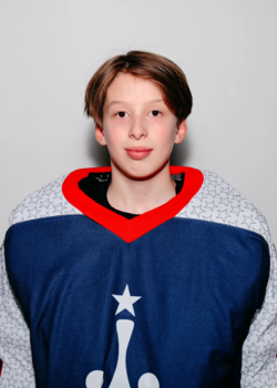 Лебедев Артемий Сергеевич