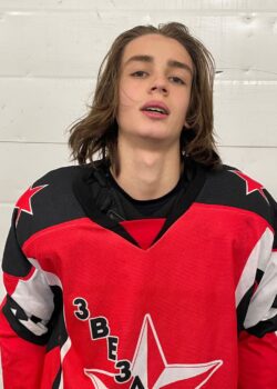 Сметанюк Максим Денисович