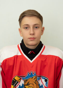 Новиков Денис Андреевич