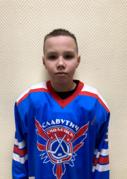 Синецкий Михаил Дмитриевич