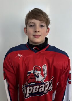 Смирнов Денис Станиславович