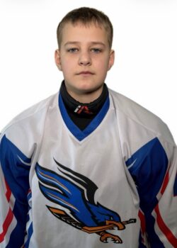 Звездунов Всеволод Алексеевич