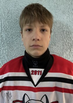 Герасимов Денис Ильич