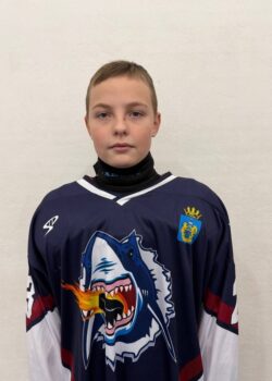 Коростин Григорий Максимович