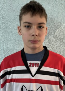 Мышковский Артём Сергеевич