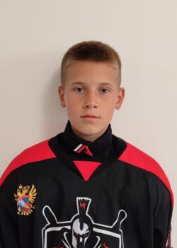 Некрасов Артемий Павлович