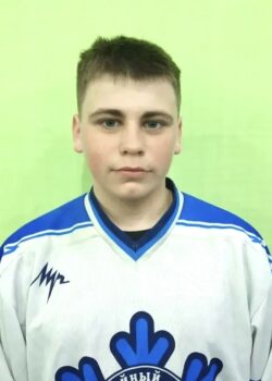 Никулин Сергей Геннадиевич