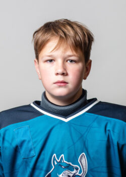 Соловьев Ярослав Дмитриевич