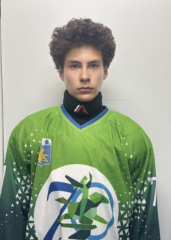 Садыков Амир Рамилевич