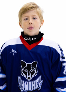 Миронов Александр Андреевич